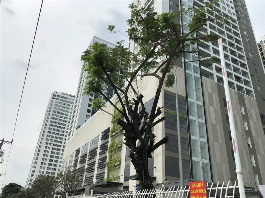 Chuyển nhượng một số căn hộ vp officetel central premium  giá tốt  có tttm  dt từ 32m2 đến 52m2