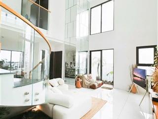 Full giỏ hàng đẹp. căn hộ duplex pegasuite 2 cần bán p6 q8. sổ hồng. giá ưu tiên nhấttiện ích full