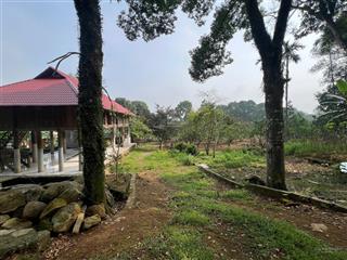 Siêu phẩm nghỉ dưỡng giá rẻ nhất lương sơn không mua lại tiếc 1,1ha có 1600m thổ cư