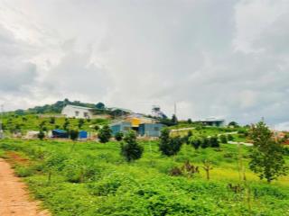 Chủ kẹt tiền cần bán lô đất đẹp view đồi hoa