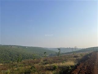 Bán gấp lo tiền cho con du học cần bán gấp 2 sào đất  lâm đồng