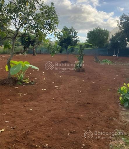 Chủ ôm lỗ  đất gần chợ, trường, du lịch, giá rẻ hơn thị trường 30%