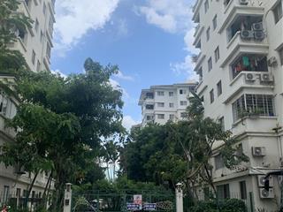 Bán gấp shophouse hưng vượng 2, dt trong sổ 130m2 đang cho thuê 23triệu/tháng giá 12tỷ sh