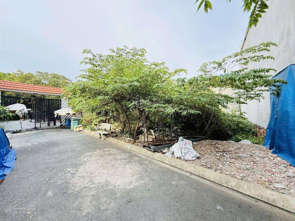 Bán gấp 250m2 đất full thổ quách điêu  bình chánh  đường nhựa 6m  ngang 17m giá hơn 6 tỷ