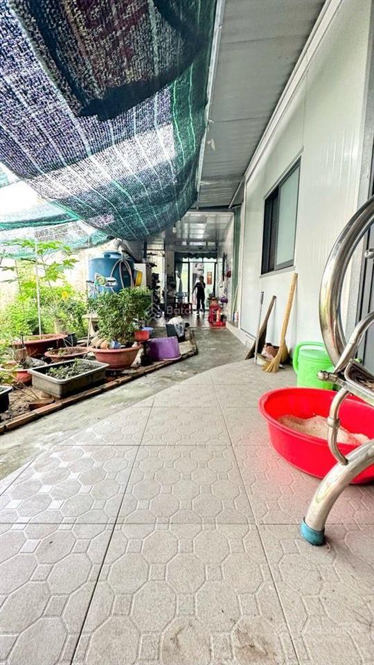 Bán gấp 250m2 đất full thổ quách điêu  bình chánh  đường nhựa 6m  ngang 17m giá hơn 6 tỷ