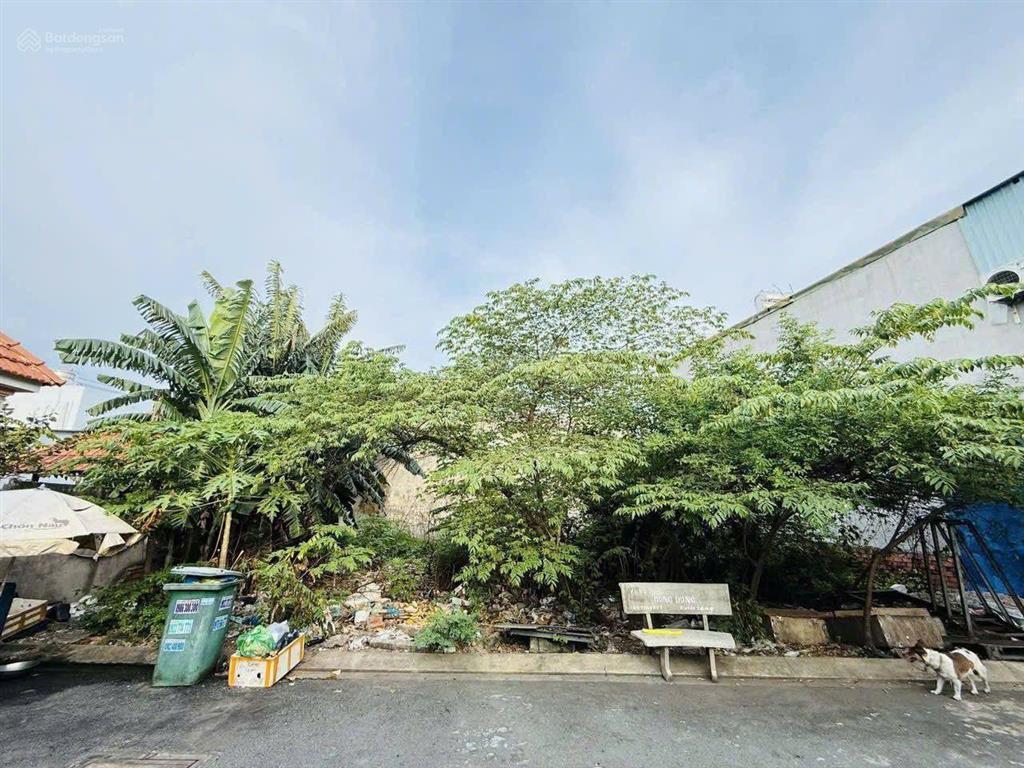 Bán gấp 250m2 đất full thổ quách điêu  bình chánh  đường nhựa 6m  ngang 17m giá hơn 6 tỷ