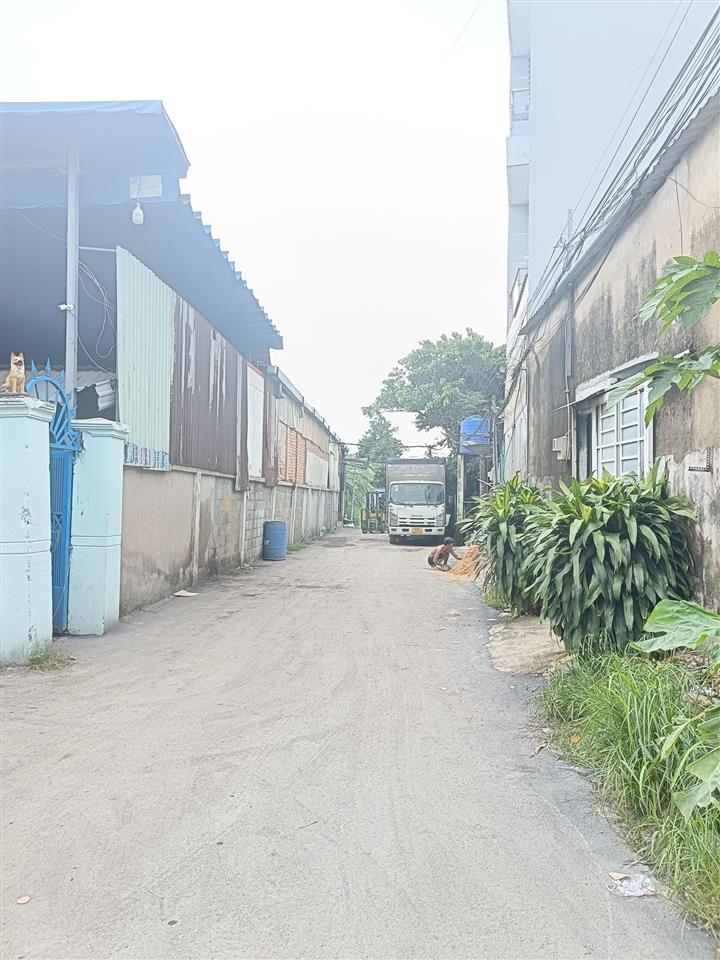 Bán gấp 250m2 đất full thổ quách điêu  bình chánh  đường nhựa 6m  ngang 17m giá hơn 6 tỷ