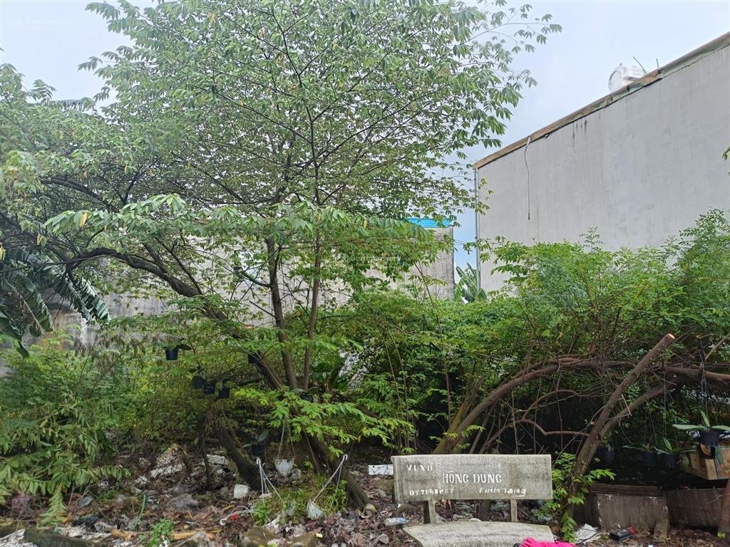 Bán gấp 250m2 đất full thổ quách điêu  bình chánh  đường nhựa 6m  ngang 17m giá hơn 6 tỷ