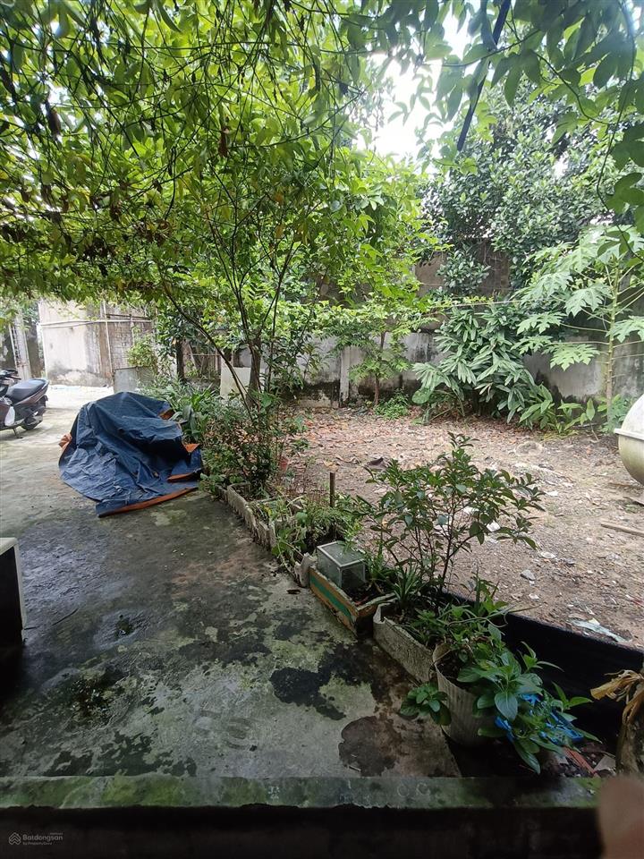 Bán nhà 266m2 trần văn mười, hóc môn, hẻm xe hơi chỉ 5,4 tỷ
