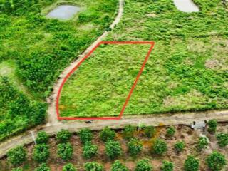 Cần bán 2000m2 đất cln hai mặt tiền đường 6  8m, 1,4triệu/m2 tại xã diên thọ  diên khánh
