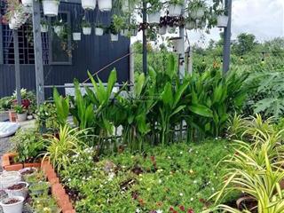 Bán đất vườn nghỉ dưỡng tại phú tân, định quán, đồng nai, diện tích 5200 m2