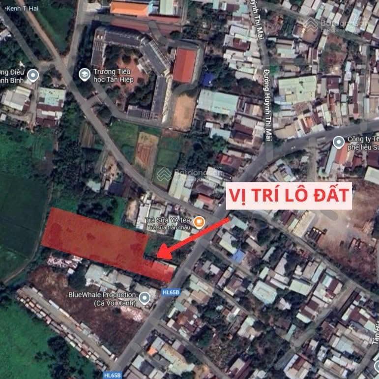 Hàng hiếm hóc môn 2mt 2.368m2, 1.368m2 thổ cư giá rẻ chốt nhanh