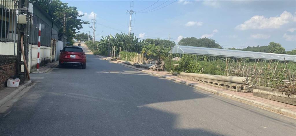 Bán gấp đất phân lô đường ôtô tránh 17m/đc khu tái định cư trâu quỳ dt 60m2 mt 4m giá 185tr/m2