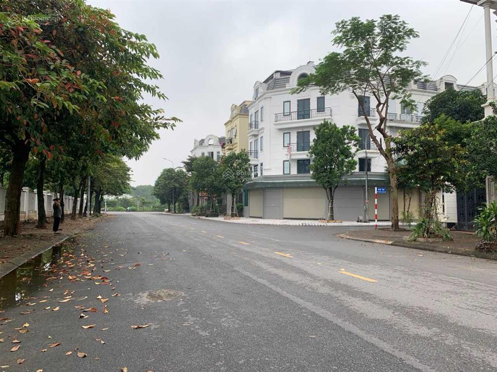 Bán nhanh lô biệt thự khu 31ha trâu quỳ gia lâm hn. dt 255m2 mt 13m. đường to, kinh doanh ngày đêm