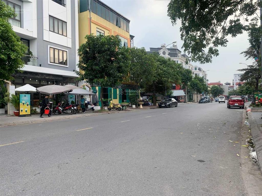 Bán gấp lô mặt kinh doanh khu 31ha/dt 247m2/mt 12,5m/view vườn hoa/đang kinh doanh giá 41 tỷ
