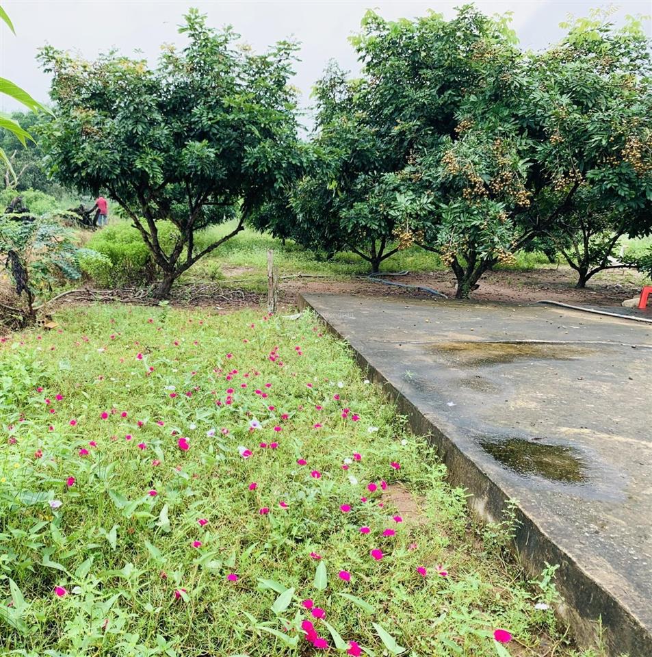 Chính chủ bán gấp lô đất ven sông 2.548m2, giá 5,6 tỷ, đường bình ba đá bạc, xuyên mộc, brvt