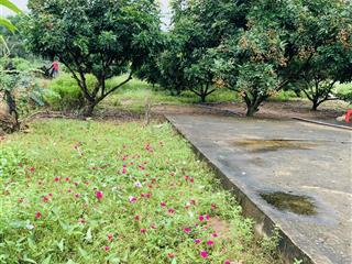 Chính chủ bán gấp lô đất ven sông 2.548m2, giá 5,6 tỷ, đường bình ba đá bạc, xuyên mộc, brvt