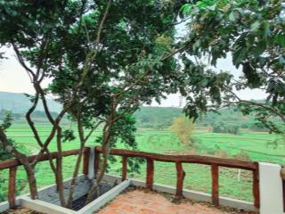 Khuôn viên hoàn thiện tại lương sơn hòa bình 1228m2 400m tc view cánh đồng bám đường liên xã giá rẻ