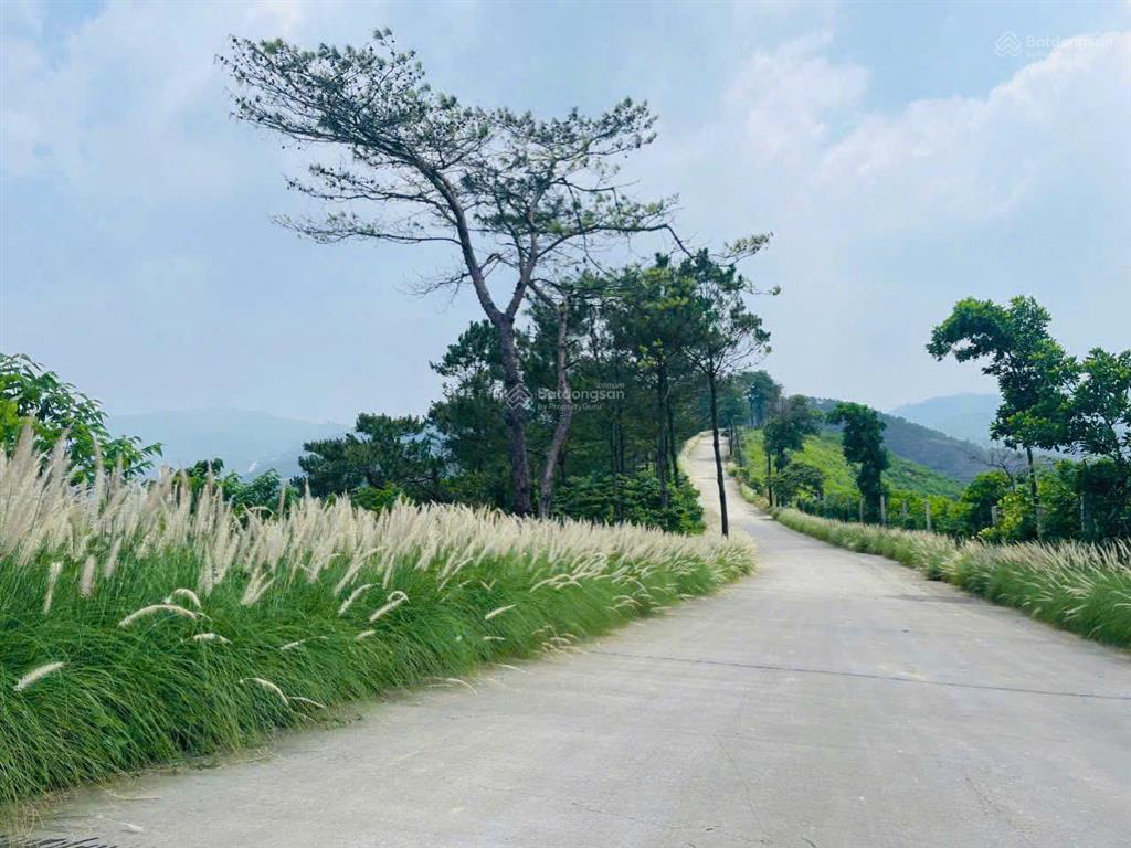 0908 764 ***, chính chủ bán rẻ bt đơn lập thanh xuân valley, view công viên,dt 350m2,ở ngay,giá 25tỷ