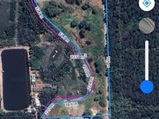 Bán 9000m2 đất cln mặt tiền đường tam thôn hiệp, cần giờ