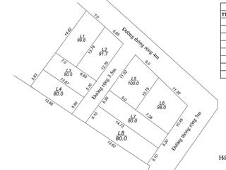 Chình chủ gửi bán fo tại tiên dược sóc sơn hà nội    0399 786 ***