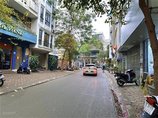 Bán đất p/lô 2 ô tô tránh quận ba đình 50m 1 sô 1 chủ xây 7 tầng 15,6 tỷ đội cấn