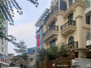 Biệt thự đại mỗ 215 m2  4t  mt 14m, ô tô tránh, kinh doanh, giá 40tỷ