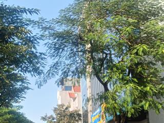 Phân lô vip đức diễn 144m2 mt8m, vỉa hè rộng, ôtô tránh, giá 36,5tỷ