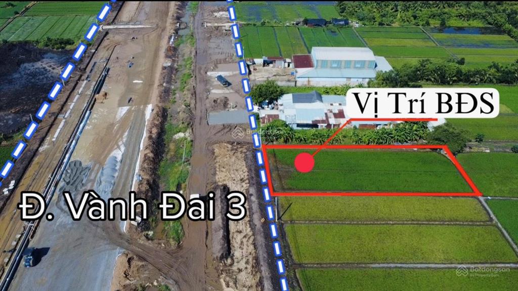 33x56m 1975m2 mặt tiền vành đai 3  bình mỹ  củ chi  quy hoạch khu dân cư