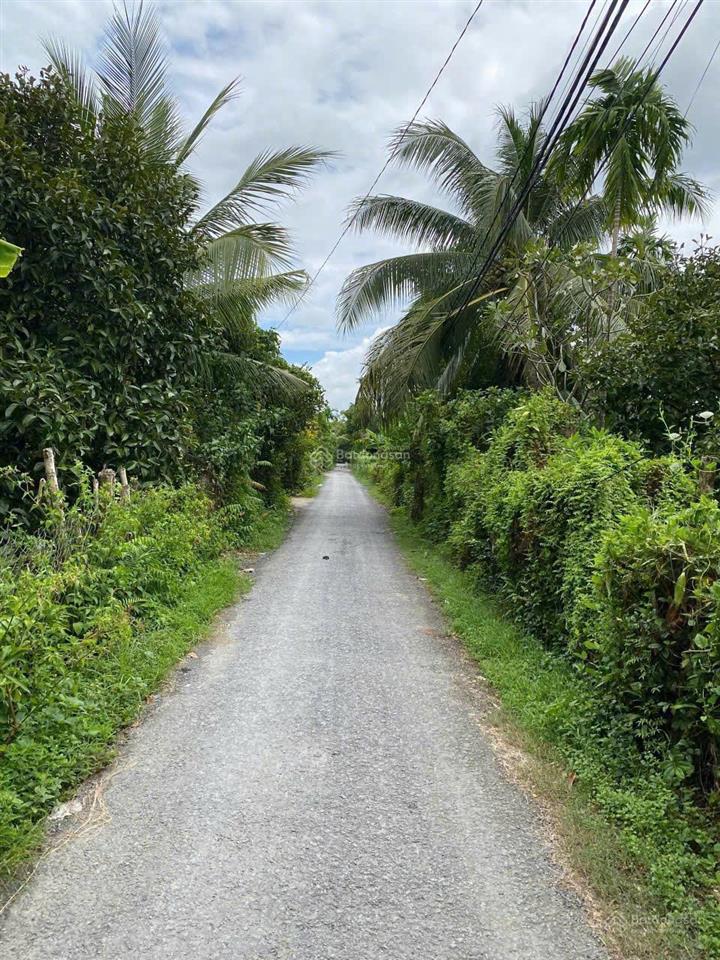 1000m2 đất vườn, cây ăn trái 1 sẹc đường hà duy phiên  bình mỹ  củ chi