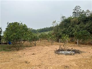 Chính chủ cần bán 825m2 100m2 thổ cư view cao thoáng, giá chỉ hơn 2 tỷ