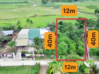 Chính chủ xã lỗ lô hoà thiện 1 xã bắc ninh hoà (ninh an cũ) giá tốt