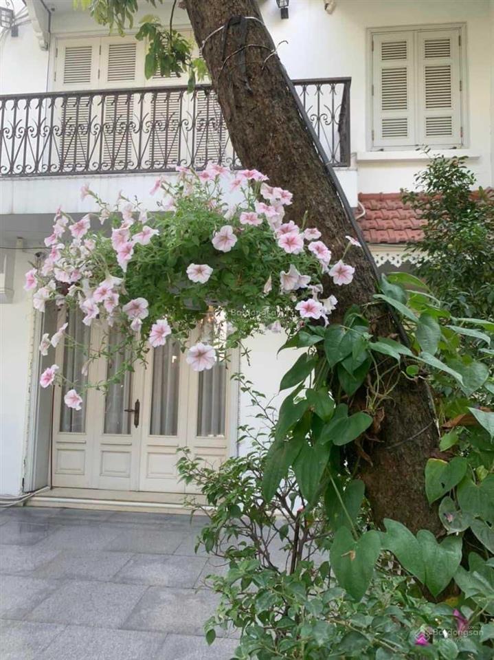 Biệt thự sân vườn nhà đẹp ở ngay  ba bước ra phố  kim đồng, 102m2, mặt tiền 8m, giá 18 tỷ