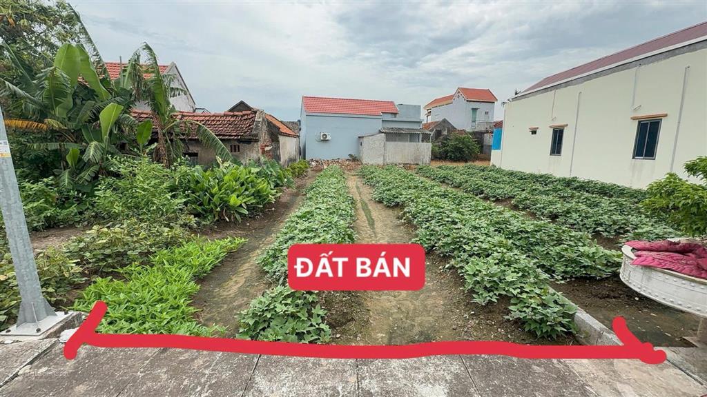 Chính chủ bán đất phân lô thị trấn thịnh long  hải hậu  ô tô chạy vòng quanh. giá chỉ 1,32 tỷ