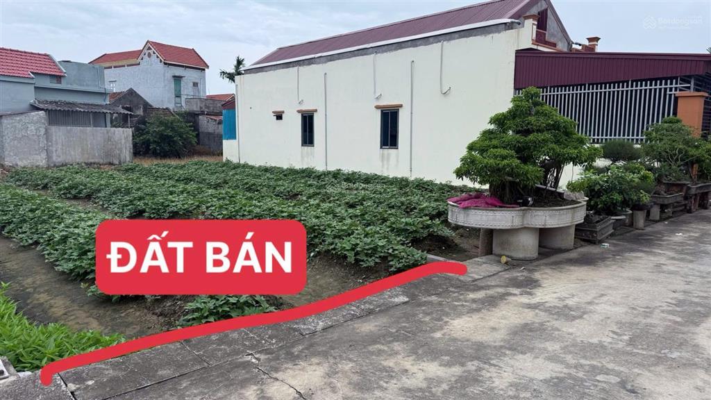 Chính chủ bán đất phân lô thị trấn thịnh long  hải hậu  ô tô chạy vòng quanh. giá chỉ 1,32 tỷ