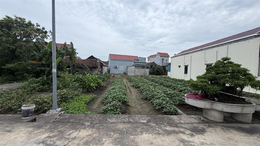 Chính chủ bán đất phân lô thị trấn thịnh long  ô tô chạy vòng quanh. 119m2 giá chỉ 1,32 tỷ.