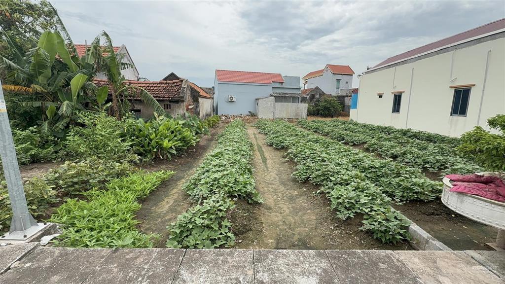 Chính chủ bán đất phân lô thị trấn thịnh long  ô tô chạy vòng quanh. 119m2 giá chỉ 1,32 tỷ.