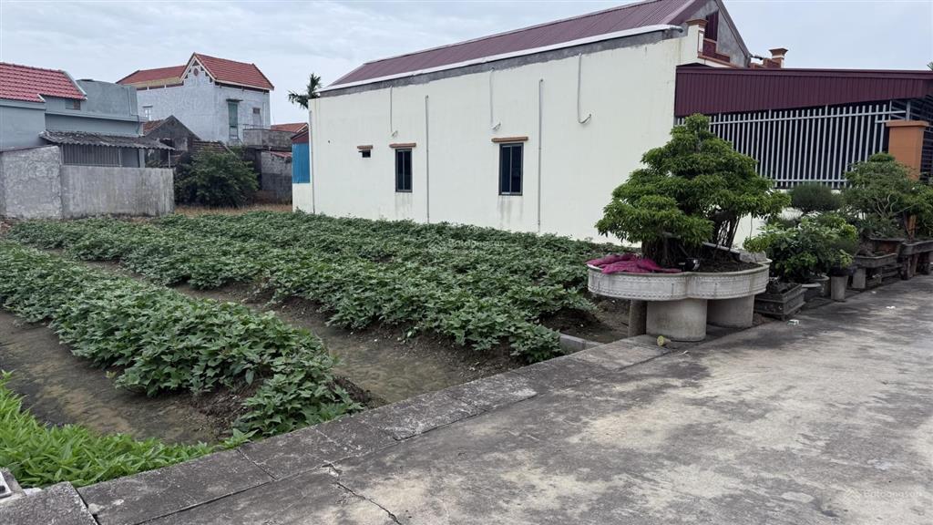 Chính chủ bán đất phân lô thị trấn thịnh long  ô tô chạy vòng quanh. 119m2 giá chỉ 1,32 tỷ.