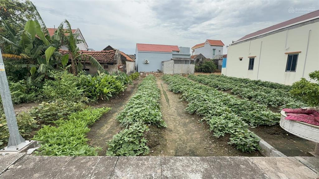 Chính chủ bán đất phân lô thị trấn thịnh long  ô tô chạy vòng quanh. 119m2 giá chỉ 1,32 tỷ.