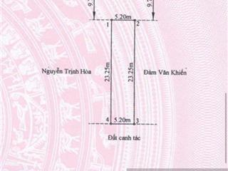 Bán lô đất 120m2 mặt đường 203 phường hoàng lâm, tp thủy nguyên vị trí đẹp kinh doanh buôn bán tốt