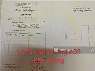 Bán lô đất mặt đường 203 lâm động nay kinh doanh buôn bán tốt gần kcn nam cầu kiền giá đầu tư