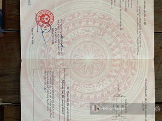 Bán gấp lô đất 100m2 tđc vsip 4 ngay cạnh kcn vsip thủy nguyên và đường vành đai 2 giá đầu tư.