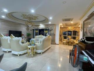 Bán gấp penthouse the everrich, quận 11, 560m2, 4pn, có hồ bơi riêng, có sổ hồng, giá bán 24.5 tỷ