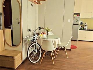 Căn hộ 1pn full nội thất, tầng cao view sông hàn pháo hoa tại đà nẵng plaza