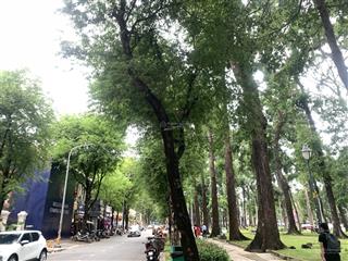 Biệt thự pháp cổ 2 tầng, lô góc mt 14m hàn thuyên, view công viên, 315m2, 1 sổ, cực giá trị, 450 t