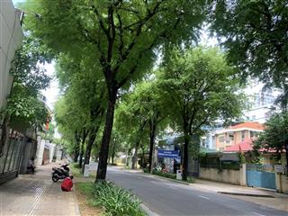 Nhà hẻm 207 nguyễn văn thủ xe hơi, kinh doanh & ở, 102m2 bề ngang 5.2m, kinh doanh & ở, chỉ 47.5 tỷ