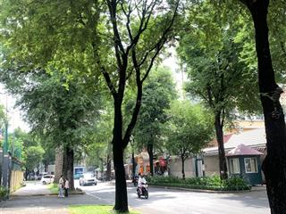 Biệt thự nguyễn du 323m2 hoàn công đủ, đường đẹp xanh mát, ngang khủng 8m, shr, quận 1 hiếm.