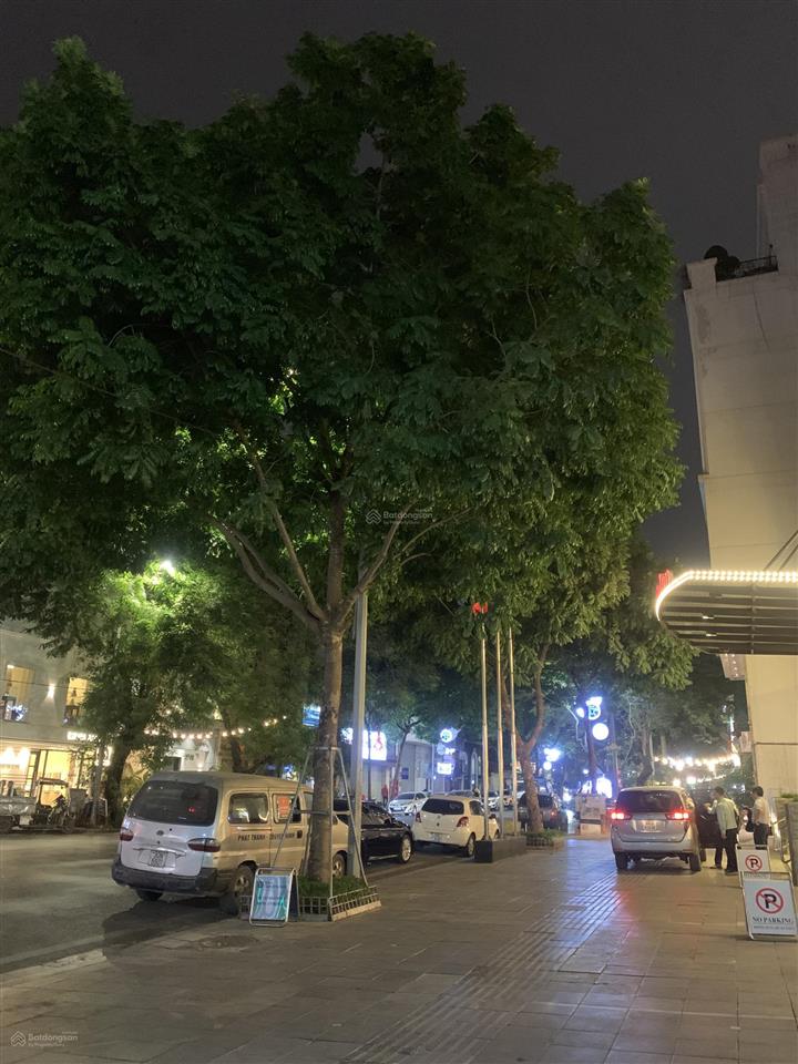 Mặt phố phan chu trinh 165m2 x 8 tầng, 1 hầm xe rộng, mt 7m, dòng tiền 6 tỷ/năm, tài chính 204 tỷ