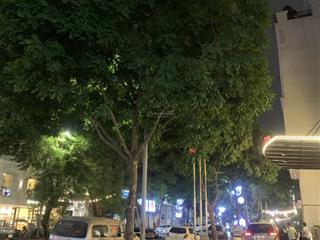 Mặt phố phan chu trinh 165m2 x 8 tầng, 1 hầm xe rộng, mt 7m, dòng tiền 6 tỷ/năm, tài chính 204 tỷ