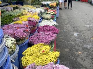 Bán đất đường hoa hồ thị kỷ quận 10, dt 110m2 c4 ngang 5.2m, shr, đường xe hơi, chỉ 20 tỷ